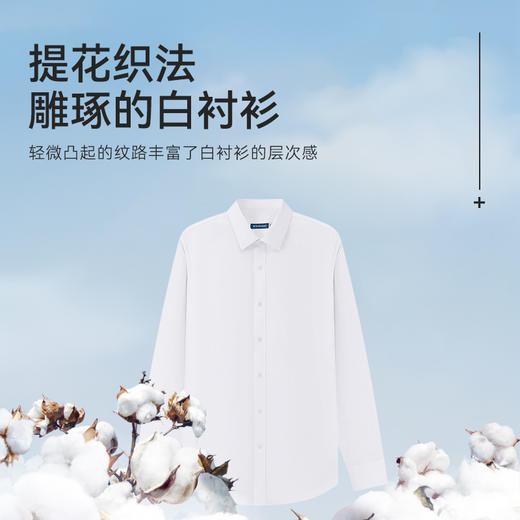 十如仕长袖商务衬衫休闲男士免烫新疆长绒棉衬衫-301-35 商品图4