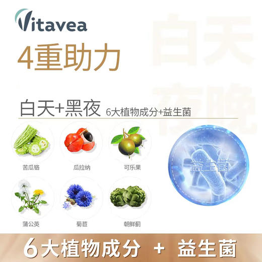 法国进口vitavea海外旗舰店白加黑维美利莱早晚双排胶囊益生菌新 商品图1