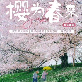 4天【樱为春来】平坝樱花园-黄果树瀑布-青岩古镇