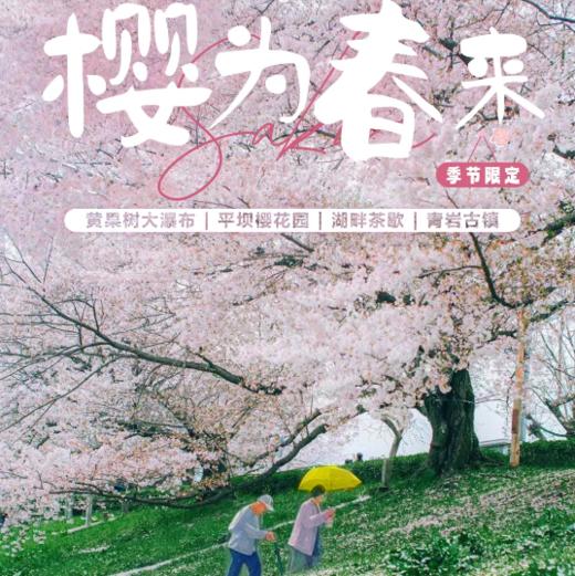 4天【樱为春来】平坝樱花园-黄果树瀑布-青岩古镇 商品图0