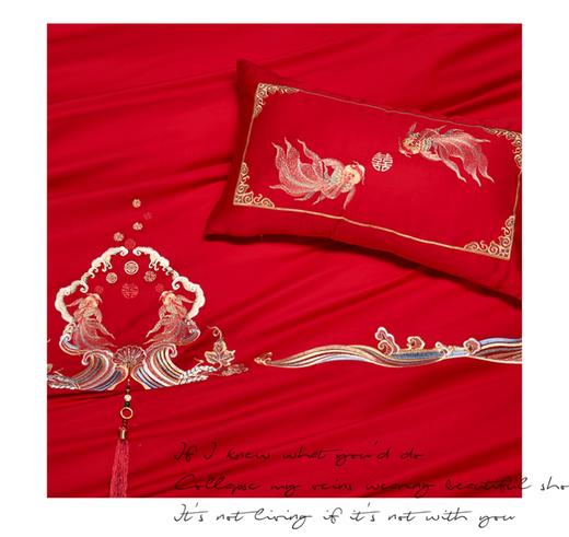 10楼宝缦 锦鲤贺喜 单四件 吊牌价2880-3080元 活动价999/套 商品图2