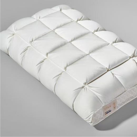 【6F】罗莱 超柔无边鹅绒深睡枕-H 商品图2