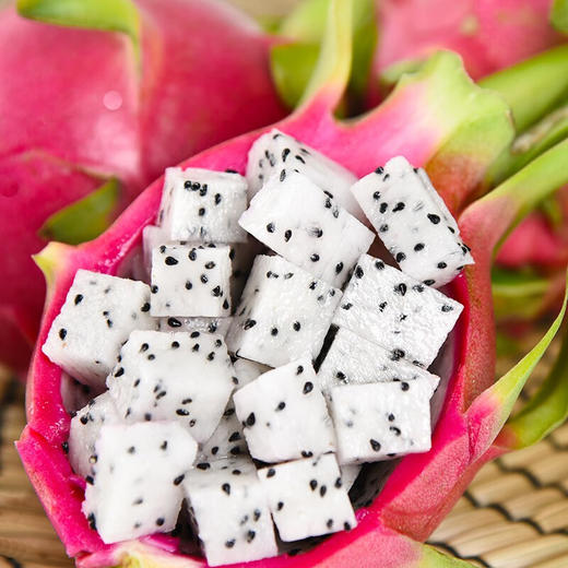 “蛇”来运转【XMGGSGK2.0】 商品图5