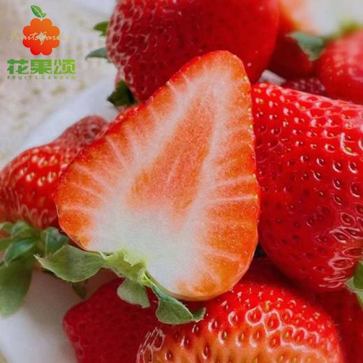 【香甜可口】正宗红颜草莓  规格自选 商品图0