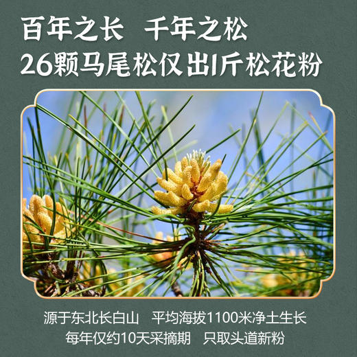 敖东破壁松花粉100g长白山新货野生松花粉正品食用外用松花粉片 商品图3