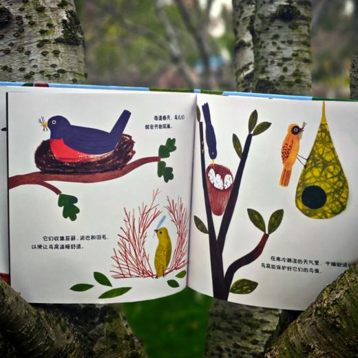 《森林四重奏》（共4册）-分销 商品图3