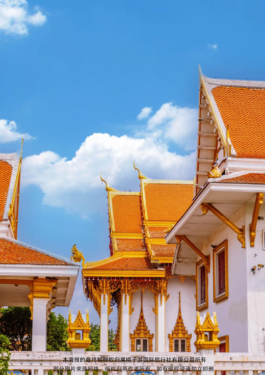 【国色天香】 洛阳牡丹（独家安排双牡丹园）·仙境老君山·金顶航拍·白马寺万仙山郭亮村·陕州地坑院·黄河三峡海陆空赏春双飞6天 商品图2