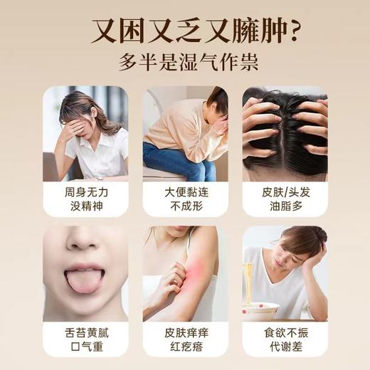 香港宝芝林祛湿丸祛湿轻去湿轻调理水肿草本祛湿60粒进口官方正品 商品图3