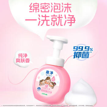 狮王（Lion）趣净泡沫抑菌洗手液纯净爽肤香250ml家庭全家适用儿童天然进口 商品图1
