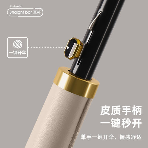 【直杆24骨直柄伞】自动大号长柄雨伞 晴雨两用稳固抗风 经典多色可选 商品图3