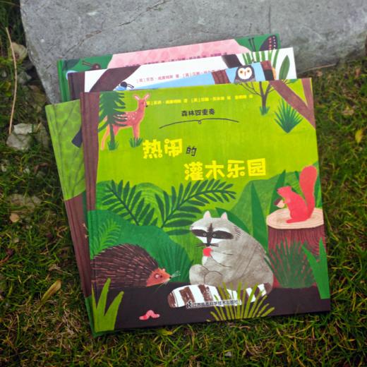 《森林四重奏》（共4册）-分销 商品图7