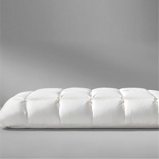 【6F】罗莱 超柔无边鹅绒深睡枕-M 商品图0