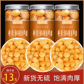 桂圆干无核特级龙眼肉2024高州新货新鲜肉干旗舰店泡水非500g