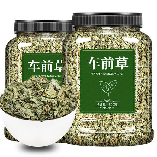 车前草新鲜野生干货中药材袋泡茶500g干车前子金钱草粉种子作用籽 商品图4