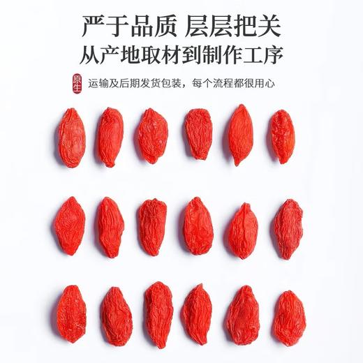 萝藦枸杞果中药材正品子天浆壳新鲜茶泡水老瓜瓢奶瓜瓜罗摩地梢瓜 商品图3