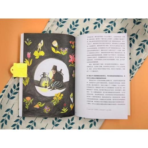 对话比利时国宝插画家凯蒂·克劳泽 商品图3