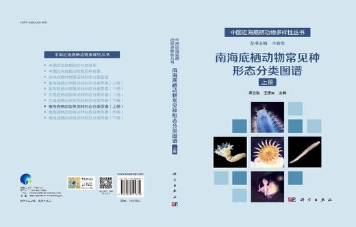 南海底栖动物常见种形态分类图谱（上册） 商品图3