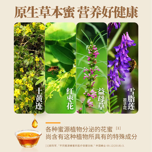 【汪氏】土黄连蜂蜜465g 商品图2