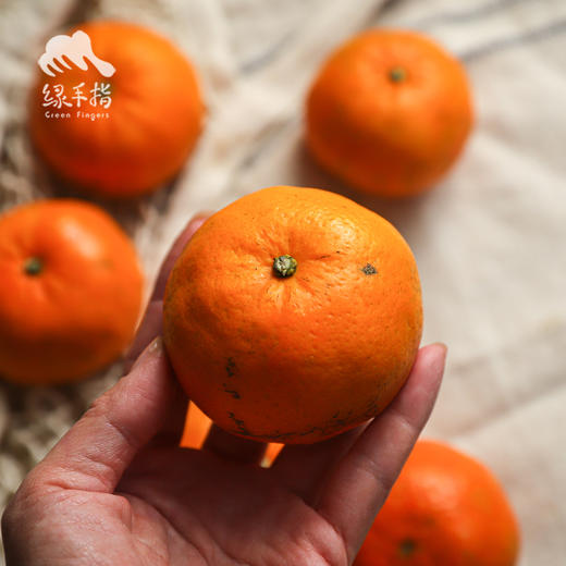 生态云南沃柑 | 合作生产* Ecological Orah  | Coproduction 商品图4