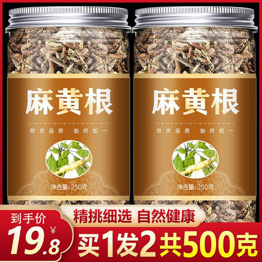 中药麻黄根材500克包邮 天然纯 无硫 野生 苦椿菜 新货中草药店铺 商品图0