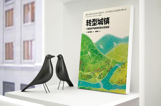 转型城镇：一场应对气候变化的社区实验 商品图4