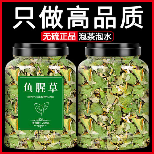 鱼腥草新鲜野生根干货折耳根叶子泡水喝粉泡茶商用鱼星草嫩叶草药 商品图0