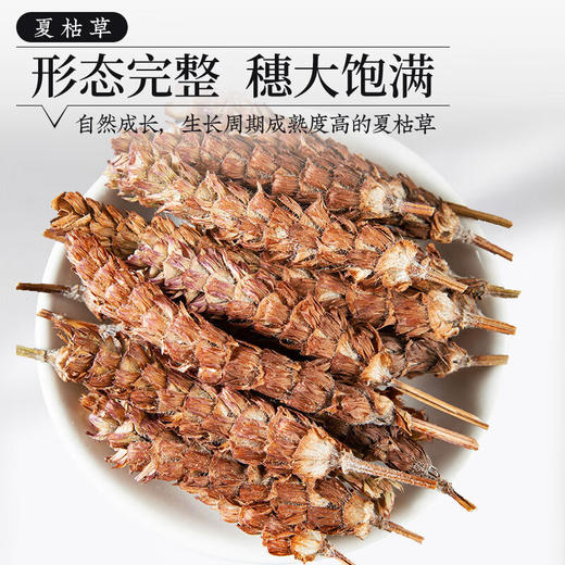 夏枯草猫爪草散结茶中药材正品野生泡水喝官方旗舰店新鲜蒲公英粉 商品图1