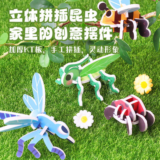 【小小昆虫学家】春天儿童玩具先生户外套装观察盒手工diy科学实验蝴蝶灯 商品图3