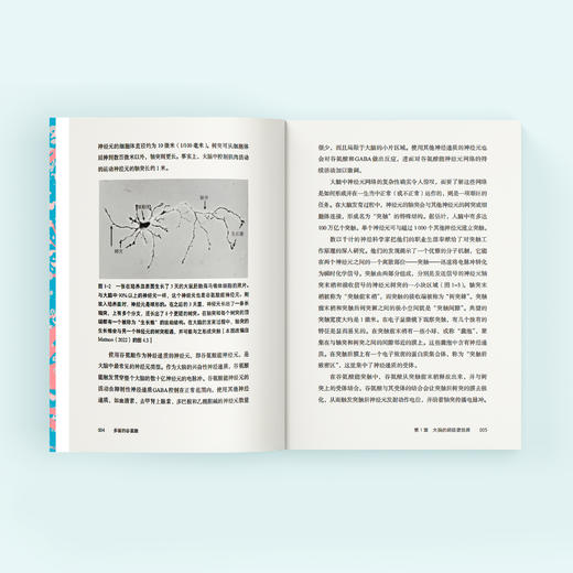 《多面的谷氨酸》 商品图7