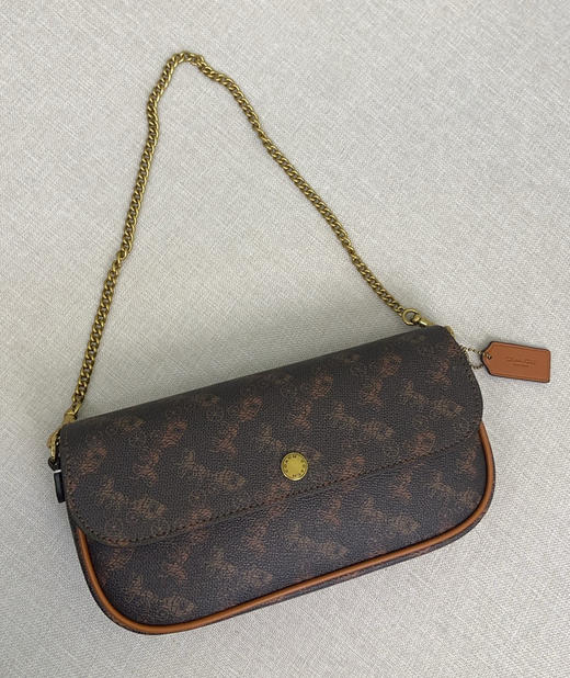春季特惠💰470 蔻驰Coach新款CAN90 CAN91 CAN92 Brook Chain bag轻巧又耐看的法棍包 商品图1