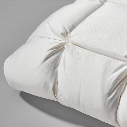 【6F】罗莱 超柔无边鹅绒深睡枕-M 商品图4