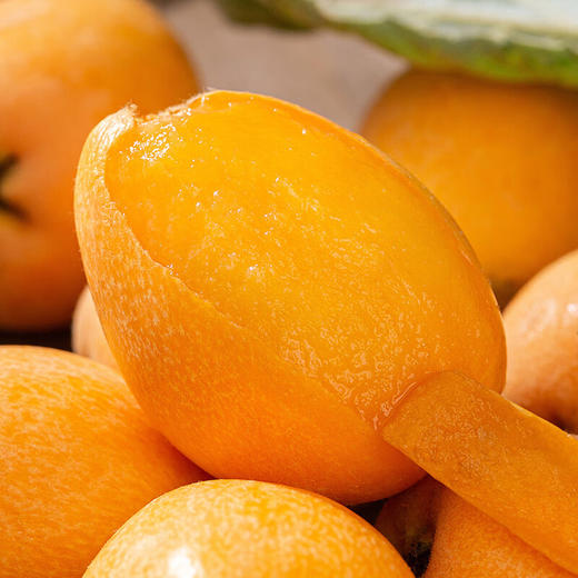 金“蛇”衔财【XMGGSGK3.0】 商品图3