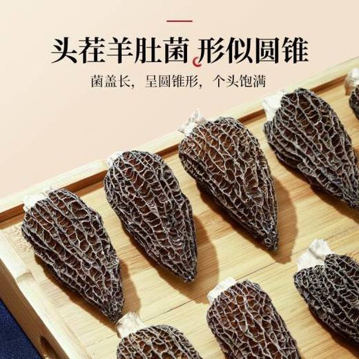 云南羊肚菌干货特级野生新鲜牛肚菇茵菌菇煲汤汤料包500g散装 商品图3