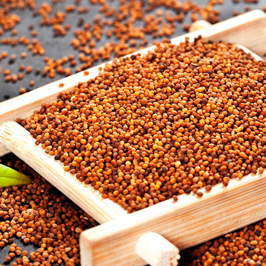 枸杞子菟丝子肉苁蓉茶中药材野生正品特级兔丝子粉内蒙古泡酒茶包 商品图2