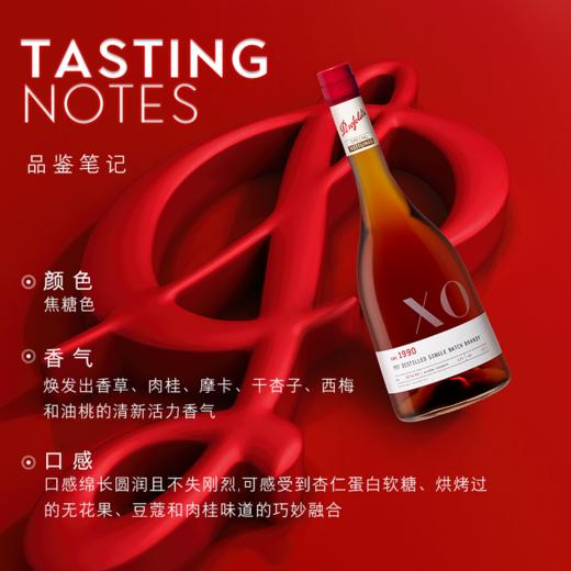 奔富Lot. 1990 壶式蒸馏单一年份29年白兰地 Penfolds lot. 1990 商品图2