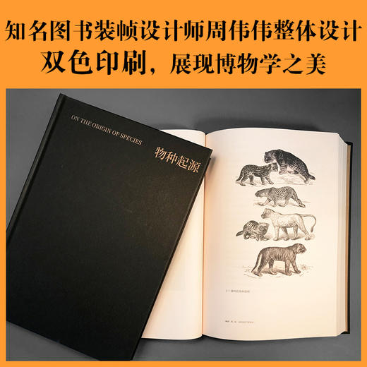 物种起源（国内唯一“达尔文《物种起源》第二版”中译本） 商品图2