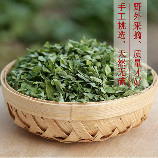 鸡骨草茶叶广西野生正宗叶子泡茶相思肝茶茶包的功效溪黄草护养生 商品图1