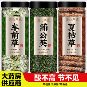 车前草蒲公英夏枯草茶野生干货官方旗舰店新鲜中药材和正品泡水喝