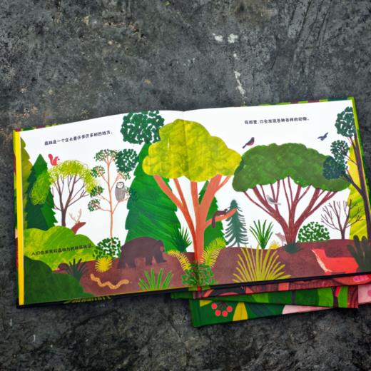 《森林四重奏》（共4册）-分销 商品图4