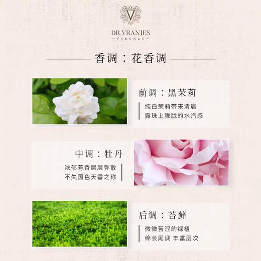 意大利Dr.Vranjes馥意世牡丹黑茉莉藤条香薰 商品图2