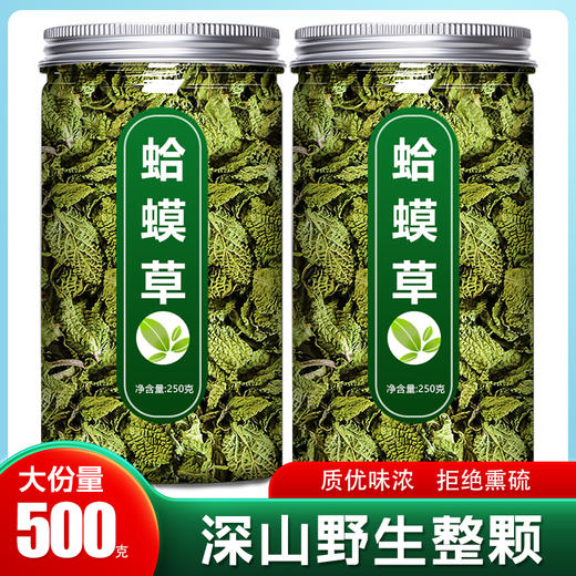 蛤蟆草中药材新鲜野生赖癞蛤蟆草茶河马草干雪见草的功效作用泡水 商品图0