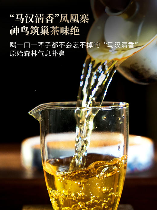 【凤凰寨】古寨春年年的断货王，只采墨江凤凰窝‘窝里’周边古茶片区，喝一口一辈子都不会忘掉的“马汉清香” （凤凰寨357g/饼 5饼/提 拍5发6）（凤凰寨单株100g*5饼/箱） 商品图7