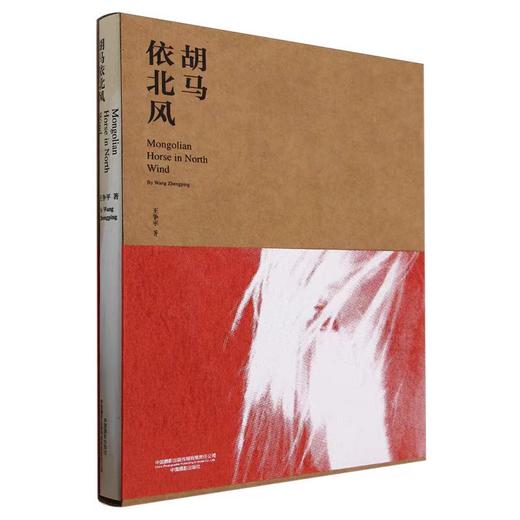 《胡马依北风》王争平摄影集 商品图0