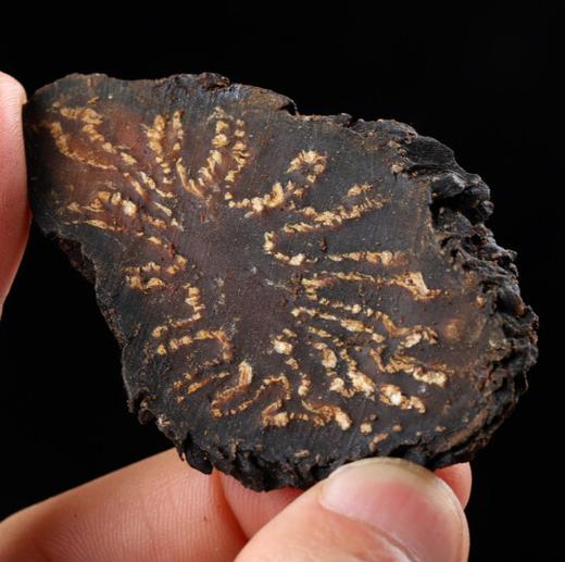 阿拉善肉苁蓉官方旗舰店内蒙古野生特级中药材正品整根片粉泡酒料 商品图2