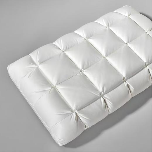 【6F】罗莱 超柔无边鹅绒深睡枕-H 商品图1