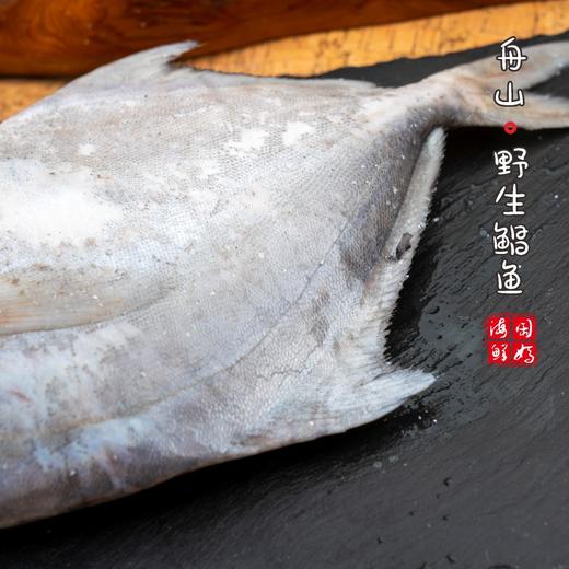 【闹妈】[鲜冻]舟山大银鲳鱼 各种规格 按条卖 商品图3