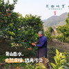 生态血橙（基地直发-顺丰包邮）｜5斤/9斤装，来自四川彭山，生产者：苏永红【合作生产，公平贸易】 商品缩略图4