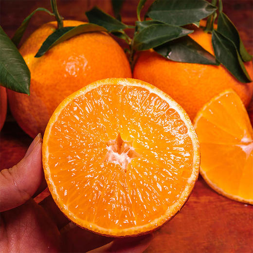 “蛇”我“七”谁【XMGGSGK3.0】 商品图4