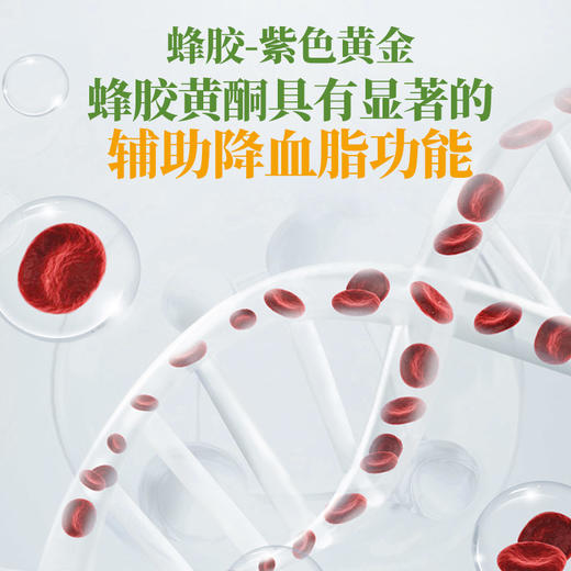 【 调节血脂】汪氏蜂胶蓝帽认证紫银软胶囊60g*2瓶装 商品图2