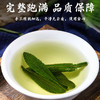 甜叶菊中药材天然甜菊叶茶野生特级精品代糖中草药茶叶的功效作用 商品缩略图3